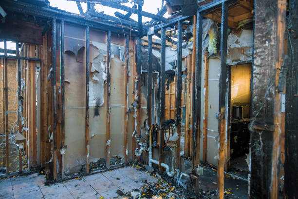 Professional Fire Damage Removal technician working in Leesburg, OH