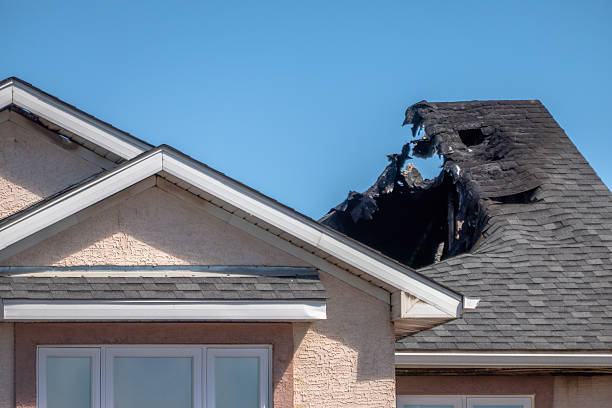 Top rated local Fire Damage Removal specialists in Leesburg, OH
